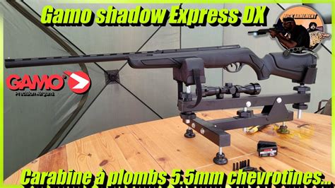 La Carabine Plombs La Plus Dingue Que J Ai Test Gamo Shadow Dx