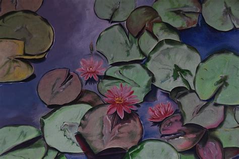 Water Lilies Painting By Jillian Chung Fine Art America