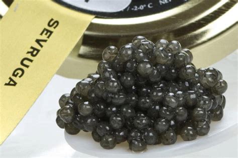 Most Expensive Caviar: Exquisite Eats For Epicurean Elites