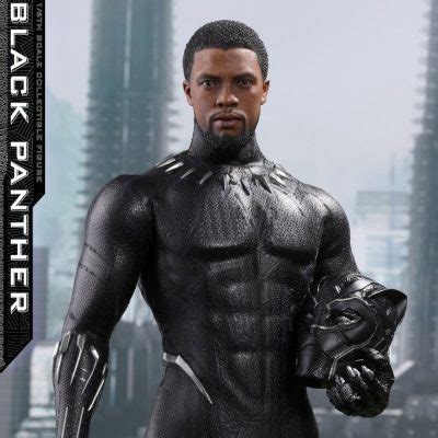 New Black Panther 1 6 Scale Figure By Hot Toys