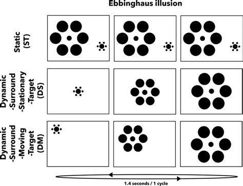 Ebbinghaus illusion. | Download Scientific Diagram