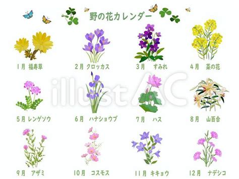 Free Vectors Wildflower Calendar