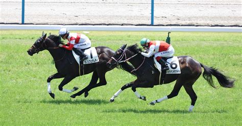 【2歳新馬・京都5r】ダノンフェアレディが軽快に逃げ切り、世代一番星に輝く！ サンスポzbat