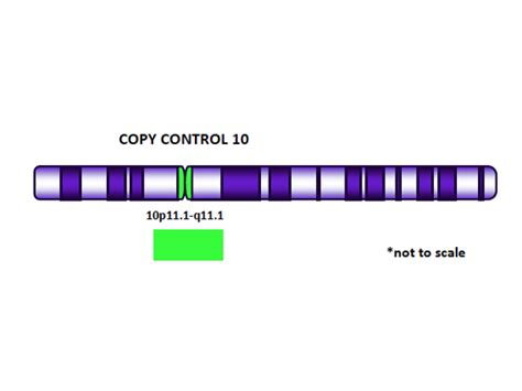 Copy Control 10 Green FISH Probe | Biocare Medical