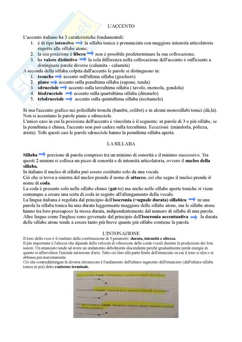 Riassunto Esame Linguistica Prof Fornasiero Libro Consigliato