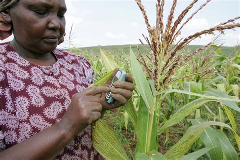 Precision Agriculture for Development: A Digital Revolution - BORGEN