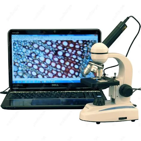 Optics Digital Student Microscope AmScope Supplies 40X 1000X Metal ...