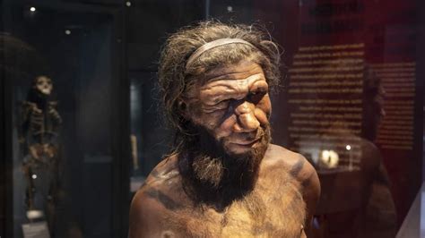 How did Neanderthal families live? DNA reveals the secrets | SBS News