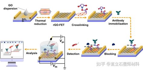 基于石墨烯生物传感器直接、超快速、灵敏检测环境病原微生物 知乎