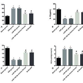 Effects Of Smad On Injured Cmecs A Expression Of Smad In Cmecs B