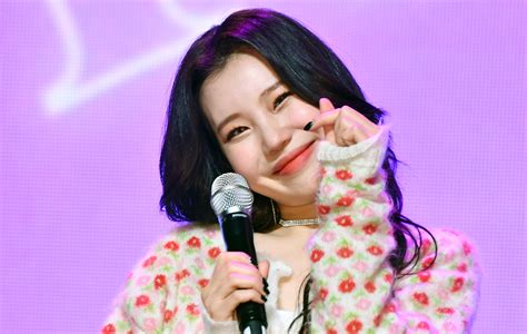 Jooe Clarifies That Momoland Did Not Disband