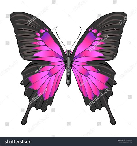 Beautiful Bright Purple Butterfly Vector Illustration Stock Vector Royalty Free 1329365765