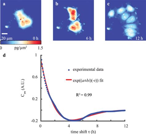 Cell Viscoelasticity Is Linked To Fluctuations In Cell Biomass Distributions Scientific Reports