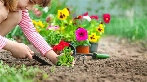 21 Easy Plants To Grow With Kids