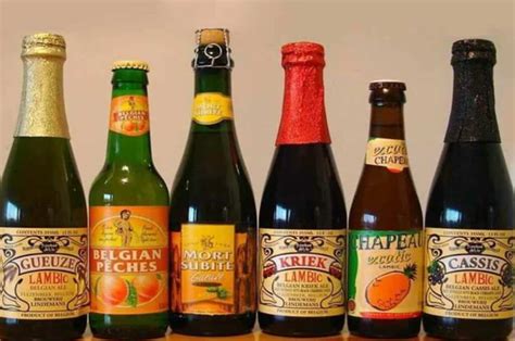 Lambic Beer Guide: History, Brewing, Taste, Food Pairings