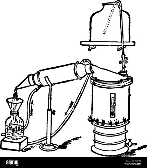 Extract Still Is Shown Here Vintage Line Drawing Or Engraving