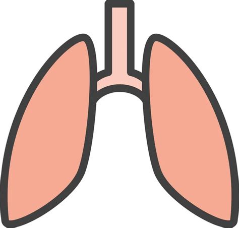 Anatomy Biology Lungs Icon Stock Vector By ©iconfinder 459633536