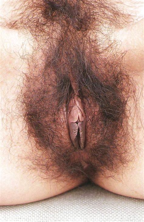 Long Pussy Hair Hairy Pussy Luscious Hentai Manga Porn