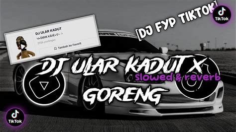 Dj Ular Kadut X Goreng Goreng Sidik Kane Slowed Reverb YouTube