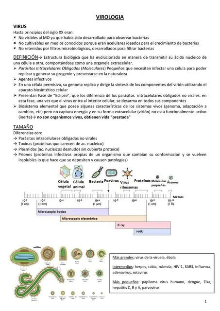 1 VIROLOGIA ROMINA UDocz