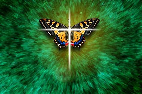 Do Butterflies Carry A Biblical Message Are They A Sign Of Transformation