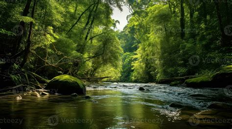 Landscape Brunei Rainforest Pristine Ai Generated 32457836 Stock Photo