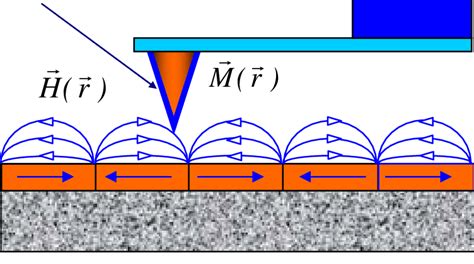 The Mfm Tip In A Magnetic Field Of A Sample Download Scientific Diagram