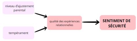 Cours N De Psychologie Du D Veloppement Cartes Quizlet