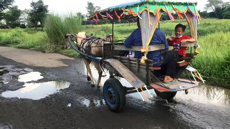 Naik Kuda Delman Rame Rame Kuda Kuda Delman Putih Lagu Populer