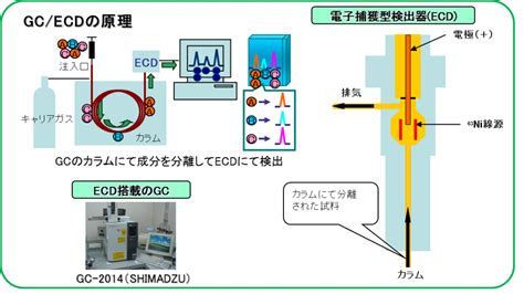 ガスクロマトグラフ分析計の原理（電子捕捉型検出器） イビデンエンジニアリング