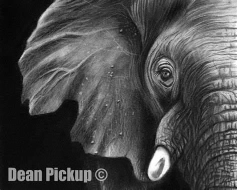 "Elephant in the Room" Fine Art Print - 13x16 Dean Pickup Art