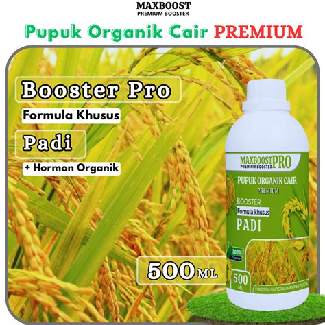 Jual Pupuk Booster Padi Premium Ml I Pupuk Organik Pelebat Padi I