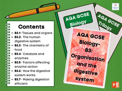 B Organisation And The Digestive System Bundle Aqa Gcse Biology