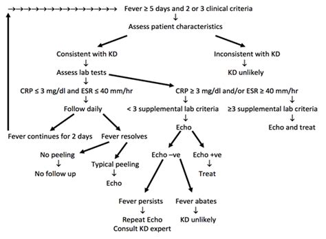 Kawasaki Disease Pathophysiology