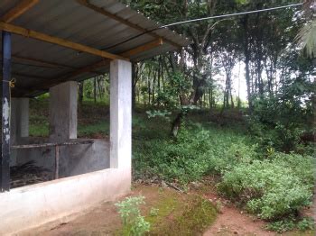 Agricultural Land For Sale In Palakkad Buy Farm Land In Palakkad