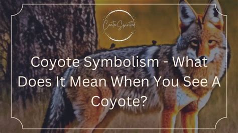 Coyote Symbolism - What Does It Mean When You See A Coyote?