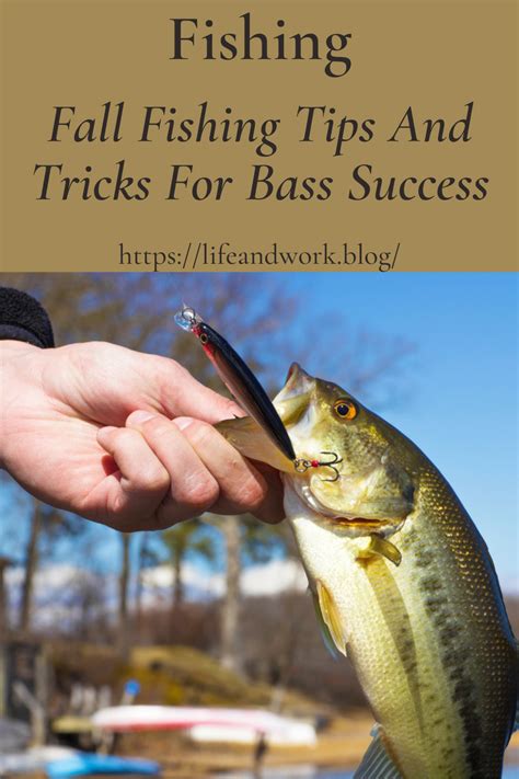 Fall Fishing Tips And Tricks For Bass Success