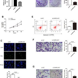 Knockdown Of Dars As Resulted In Alleviated Luad Progression A The