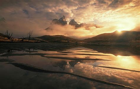 The Yellow Fire Of Torres Del Paine Pyrography By Max Rive Fine Art