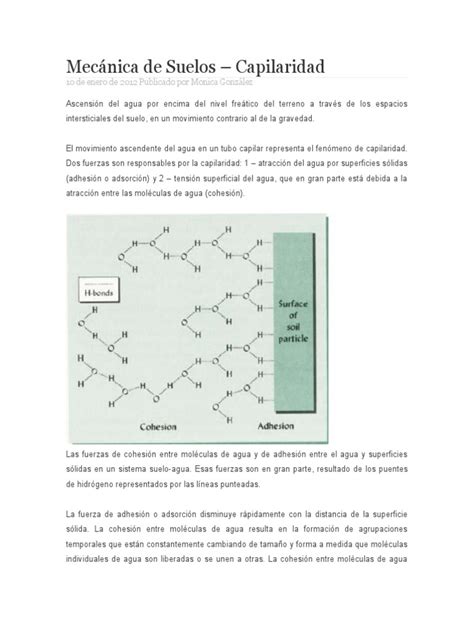 Mecánica De Suelos Pdf Adhesión Agua