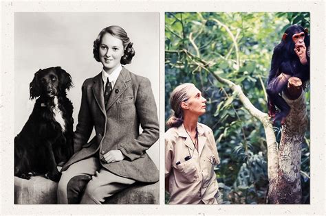 Why Were Still Fawning Over Jane Goodall After 60 Years