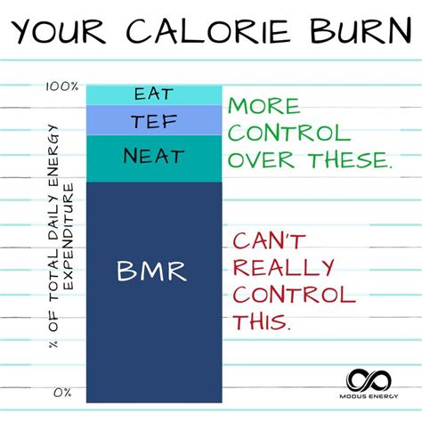 Understanding Your Energy Daily Energy Nutrition Coach Health