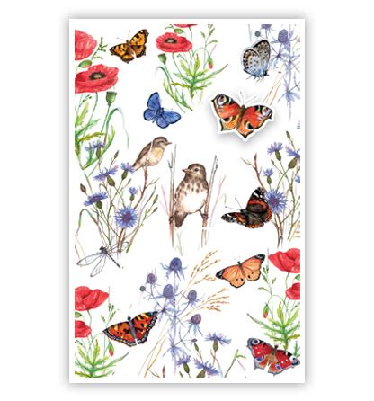 Vogels Vlinders En Bloemen Primeurcards