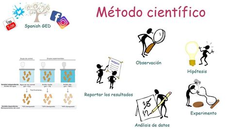 Descripcion De Los Pasos Del Metodo Cientifico Tory Hot Sex Picture