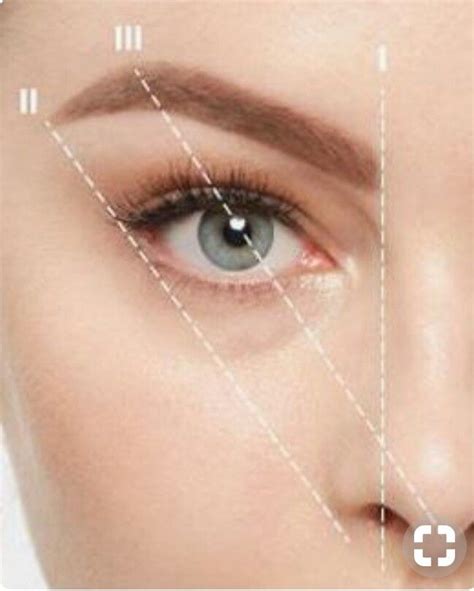 Golden Ratio Brows Eyebrow Makeup Tips Brow Tutorial Eyebrow Tutorial