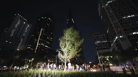 Plantan Ahuehuete En Glorieta Sobre Paseo De La Reforma