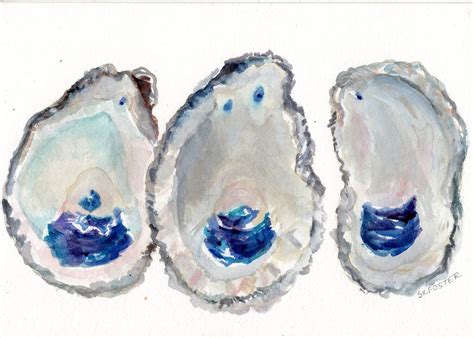 Original Oysters Shells Watercolor Painting X Coastal Etsy