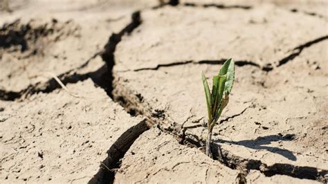 ¿cuáles Comunas Serán Afectadas Conoce El Primer Informe De Predicción