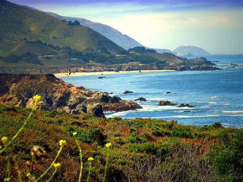 Garapata State Park South Of Monterey CA Photograph by Joyce Dickens