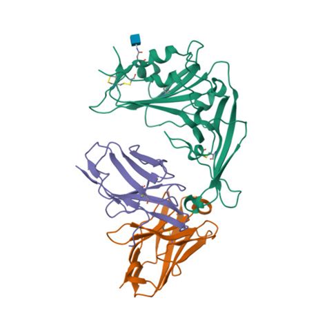 RCSB PDB 5YY5 Structural Definition Of A Unique Neutralization